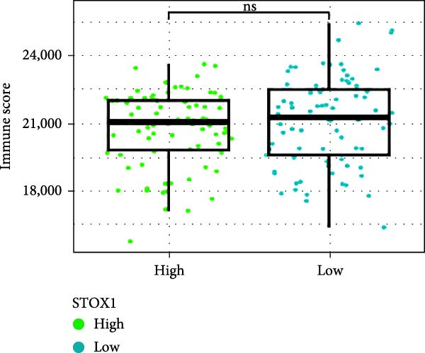 Figure 41