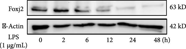 Figure 8