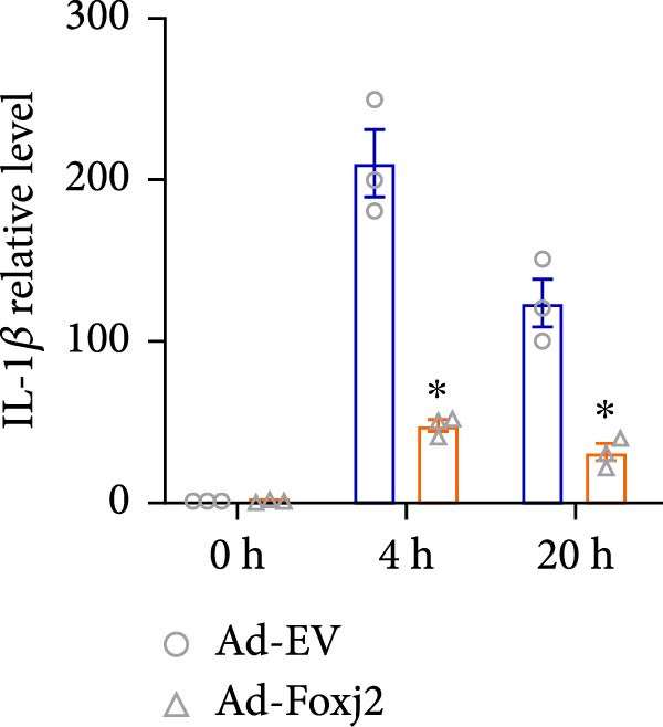 Figure 16