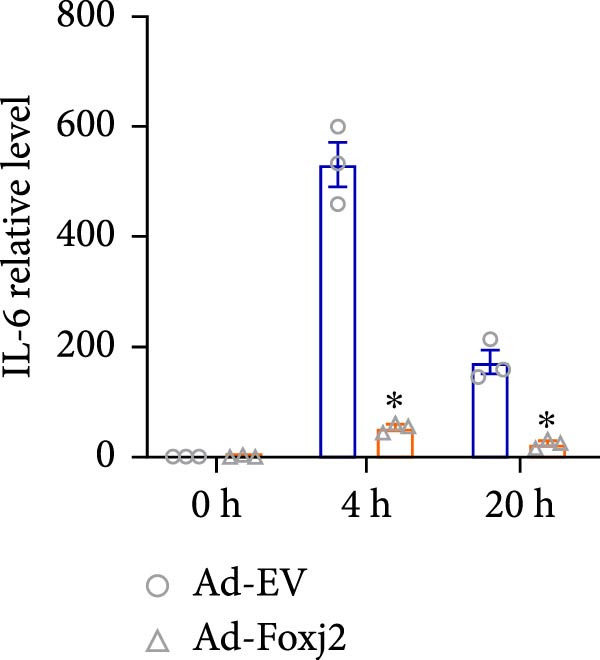 Figure 18