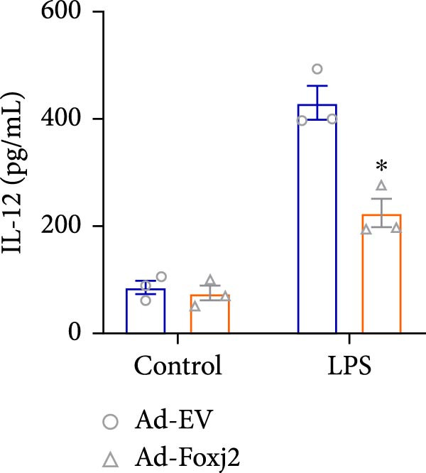 Figure 19