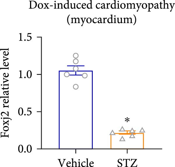 Figure 20