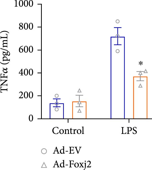 Figure 24