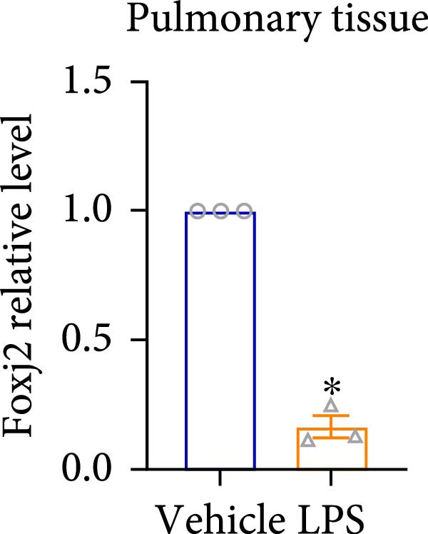 Figure 26