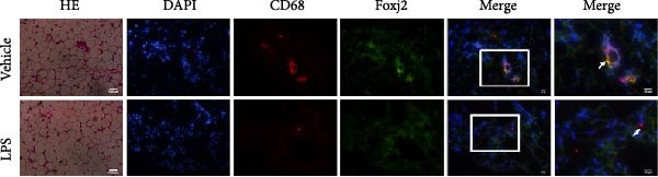 Figure 28