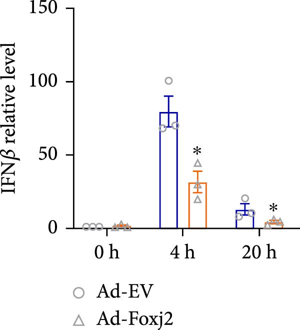 Figure 29