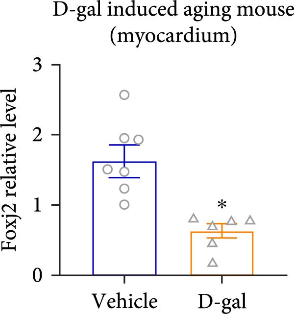 Figure 31