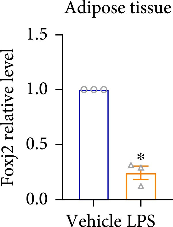 Figure 36