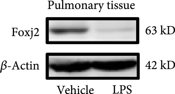 Figure 38