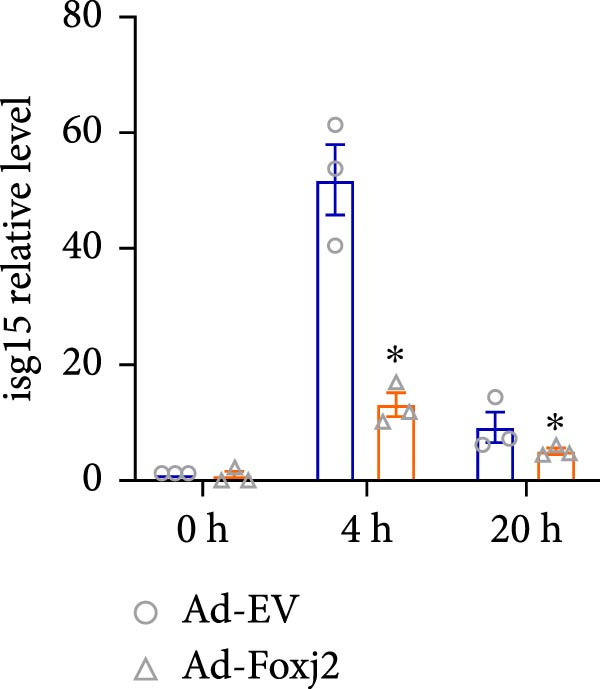 Figure 39