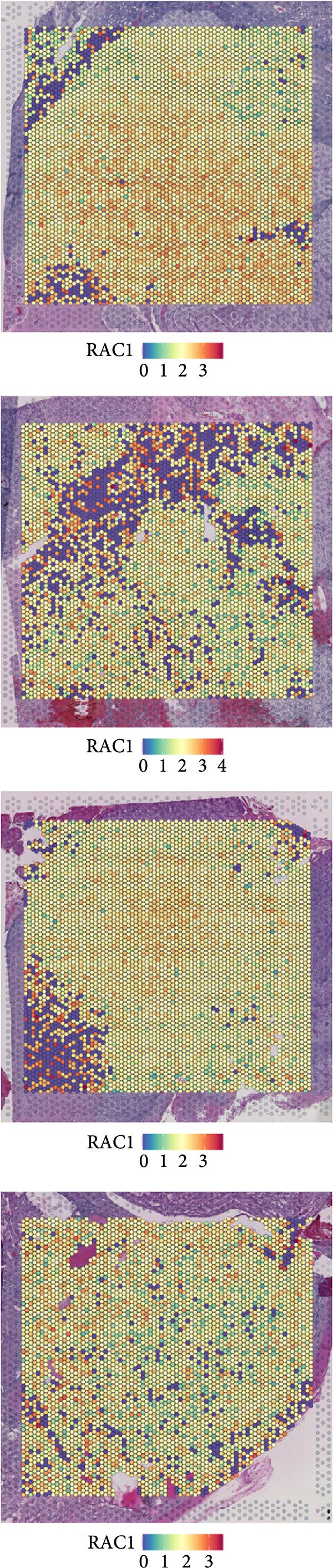 Figure 16