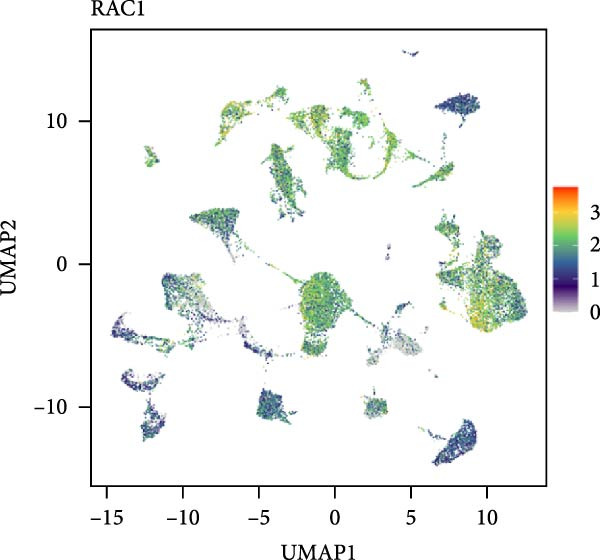 Figure 37