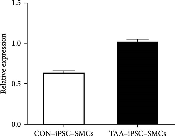 Figure 17