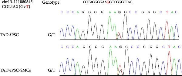 Figure 18