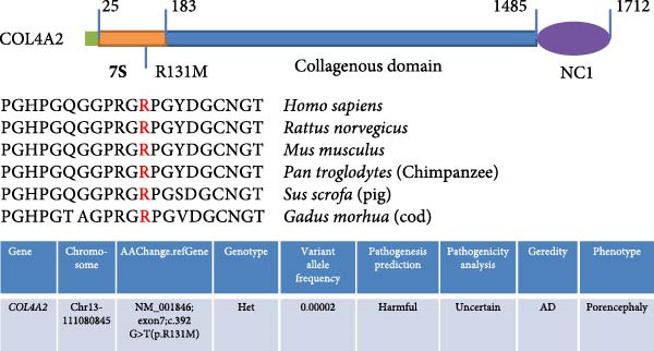 Figure 19