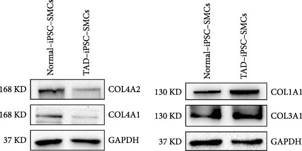 Figure 21