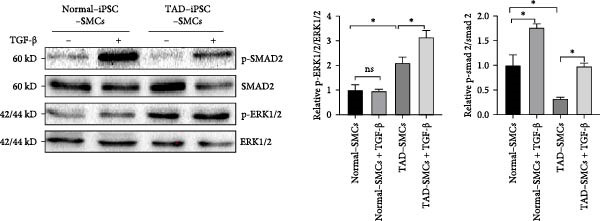 Figure 22