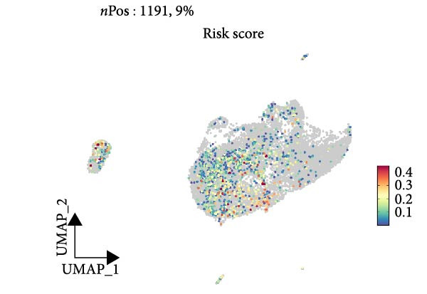 Figure 23