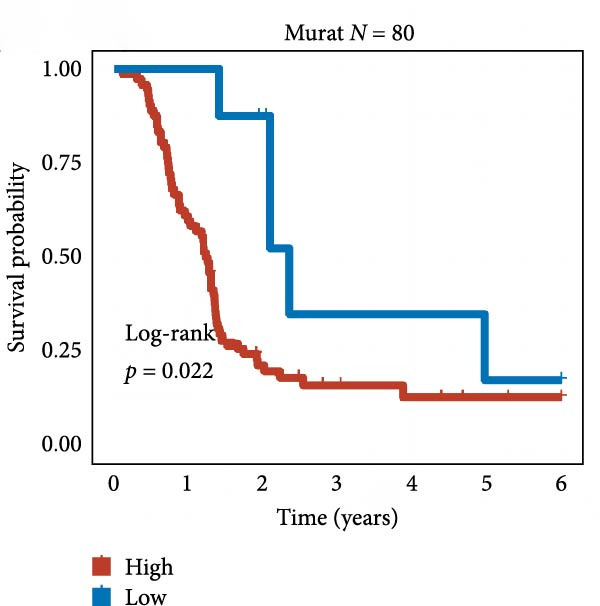 Figure 25