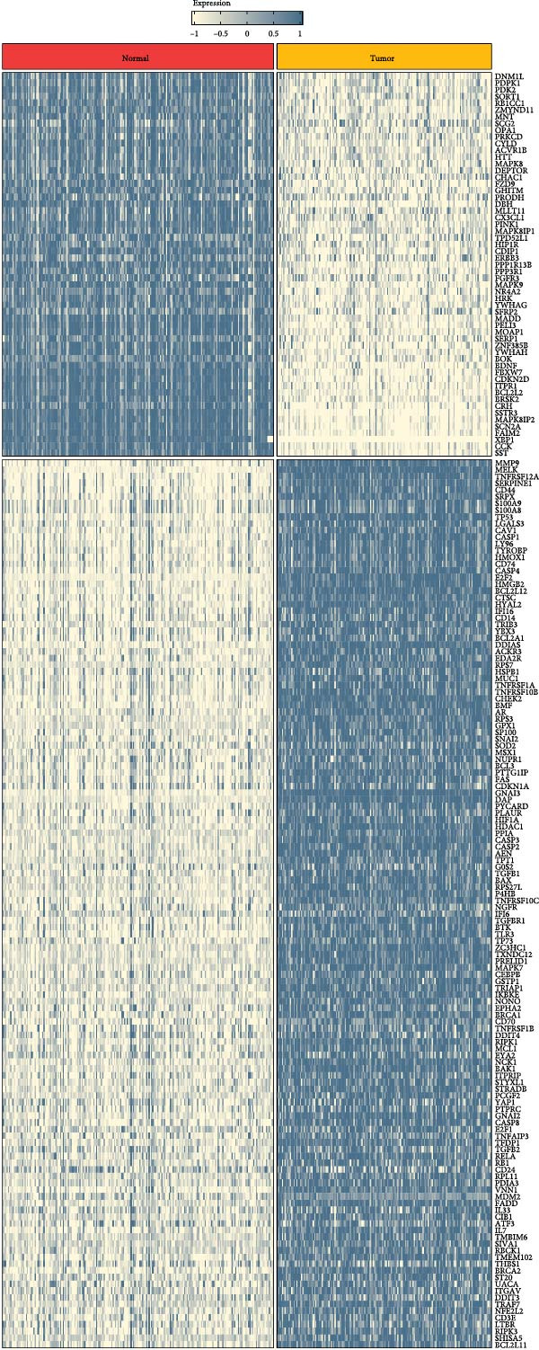 Figure 31