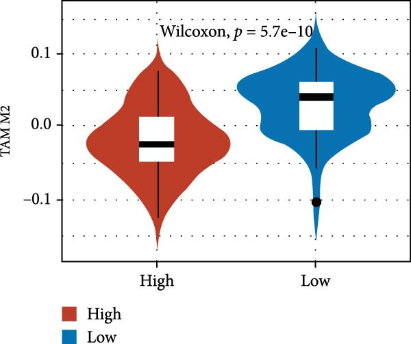 Figure 43