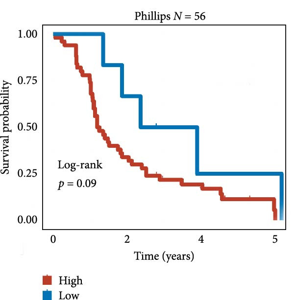 Figure 46