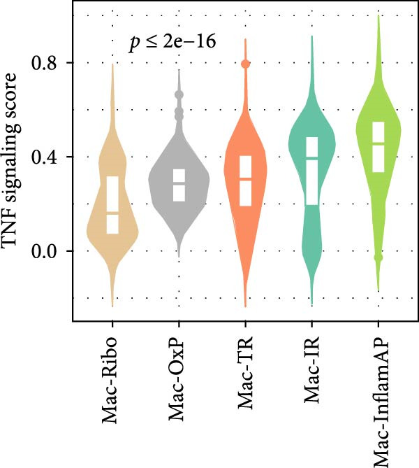 Figure 20
