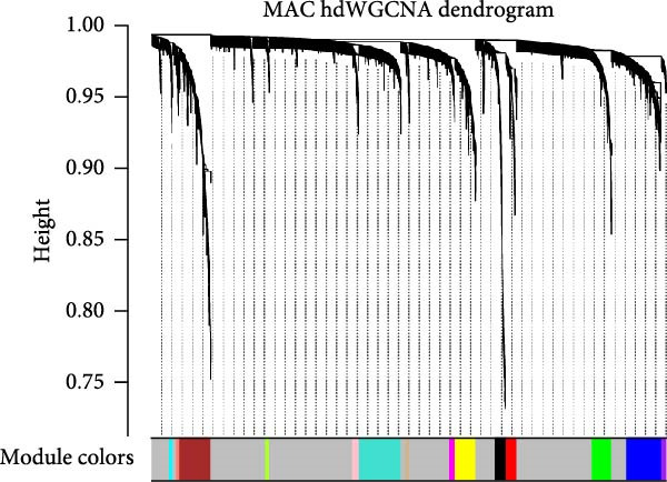 Figure 22