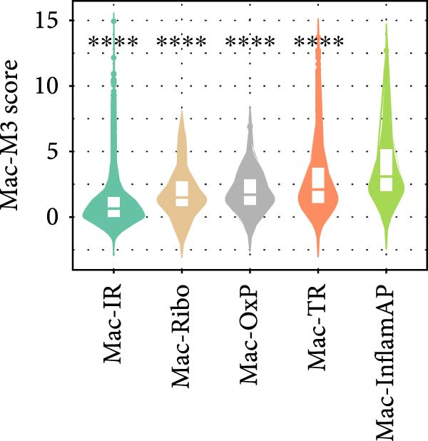 Figure 29
