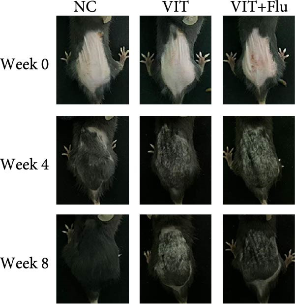 Figure 32