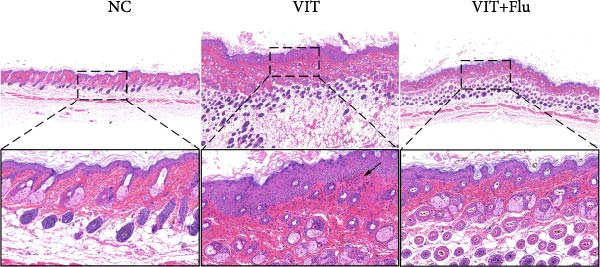 Figure 34
