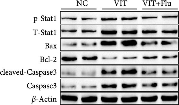 Figure 35