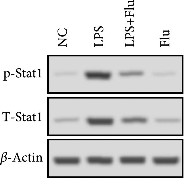 Figure 37