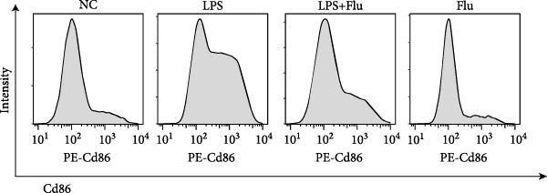 Figure 38