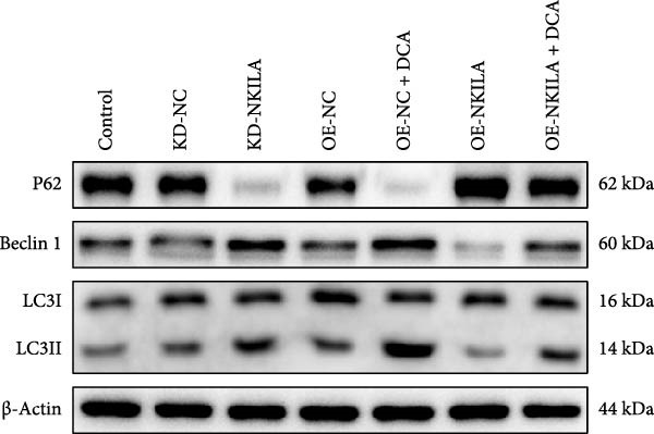 Figure 13