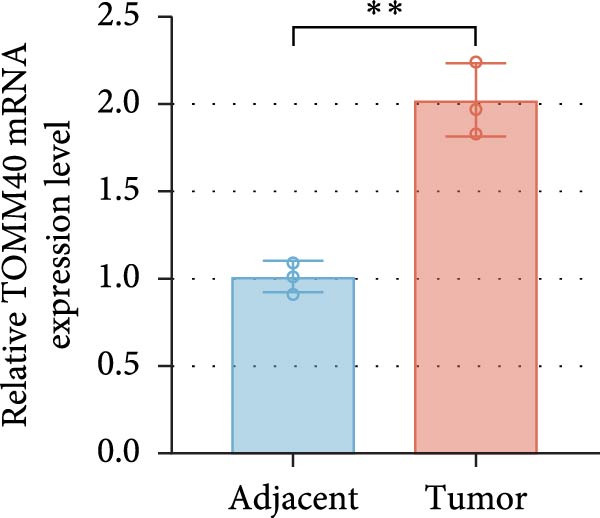 Figure 18