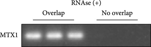 Figure 21