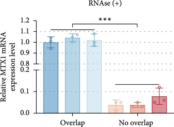 Figure 22