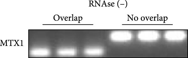 Figure 23