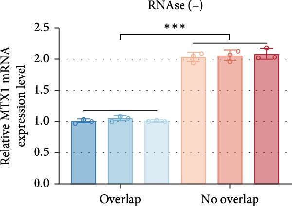 Figure 24