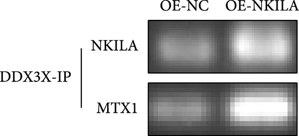 Figure 25