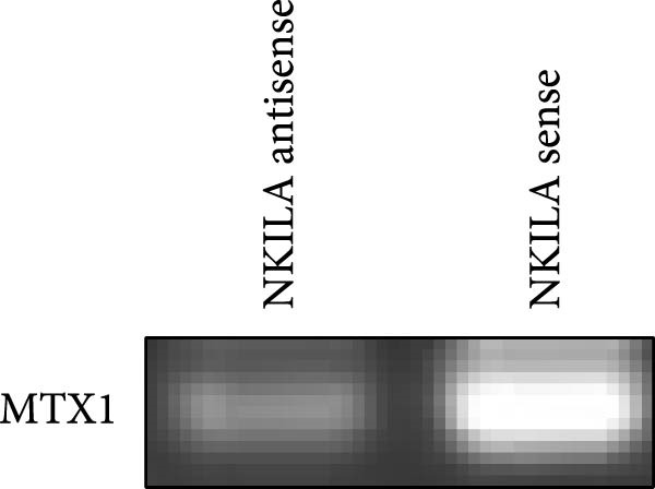 Figure 27
