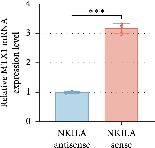 Figure 28