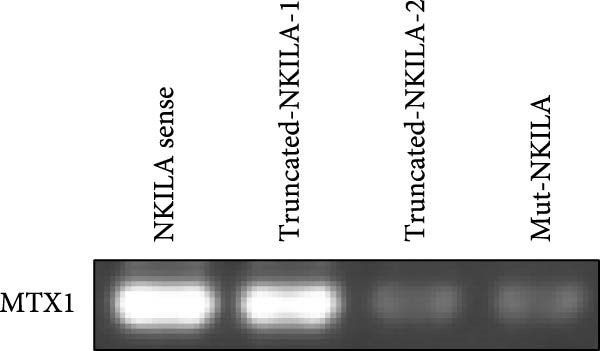 Figure 29