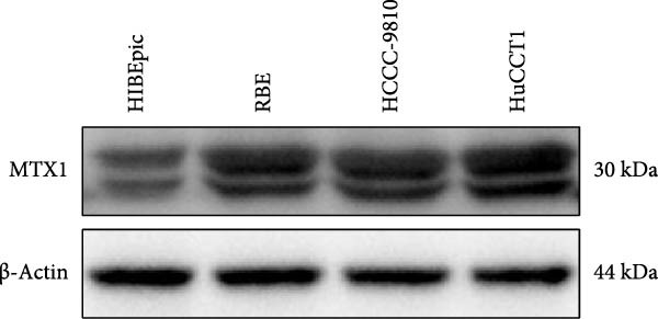 Figure 32