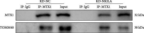 Figure 34