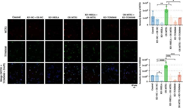 Figure 37