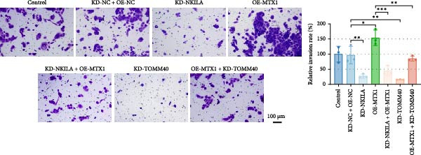 Figure 41