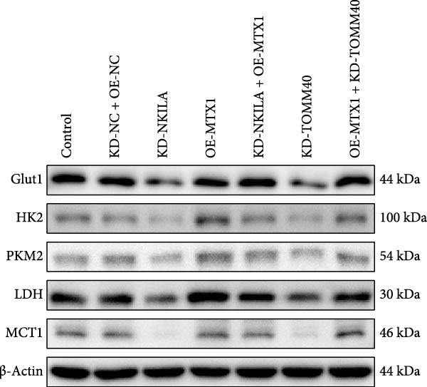 Figure 42