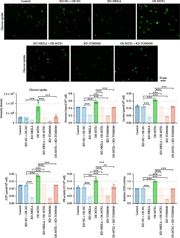 Figure 43